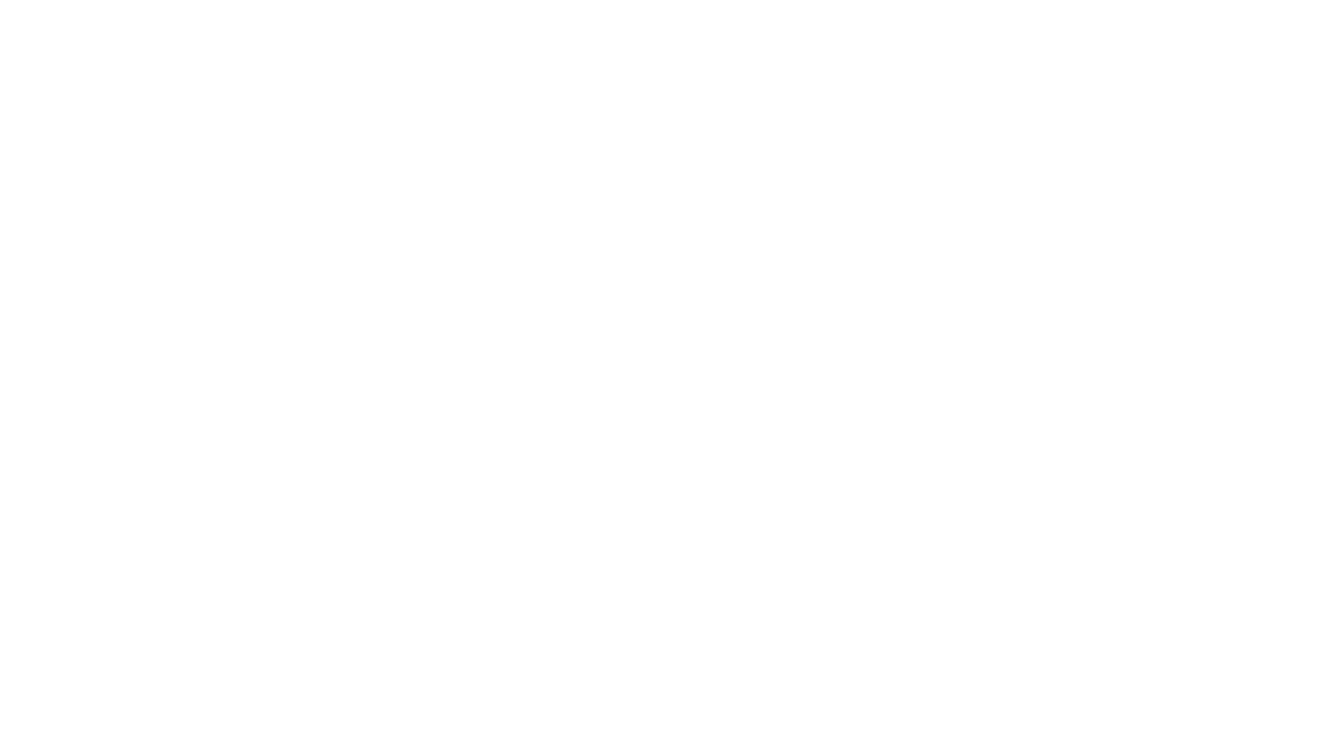 SunLion.llc